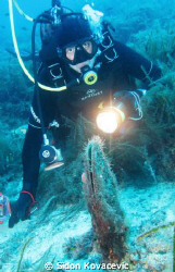 big old shell
we call it periska by Sidon Kovacevic 